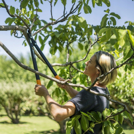 Средний плоскостной сучкорез с загнутыми лезвиями Fiskars L74 PowerGear (1000582)